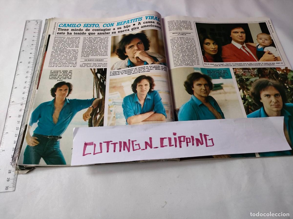 Coleccionismo de Revistas y Peri&oacute;dicos: Clipping [CAMILO SESTO][DM850511]