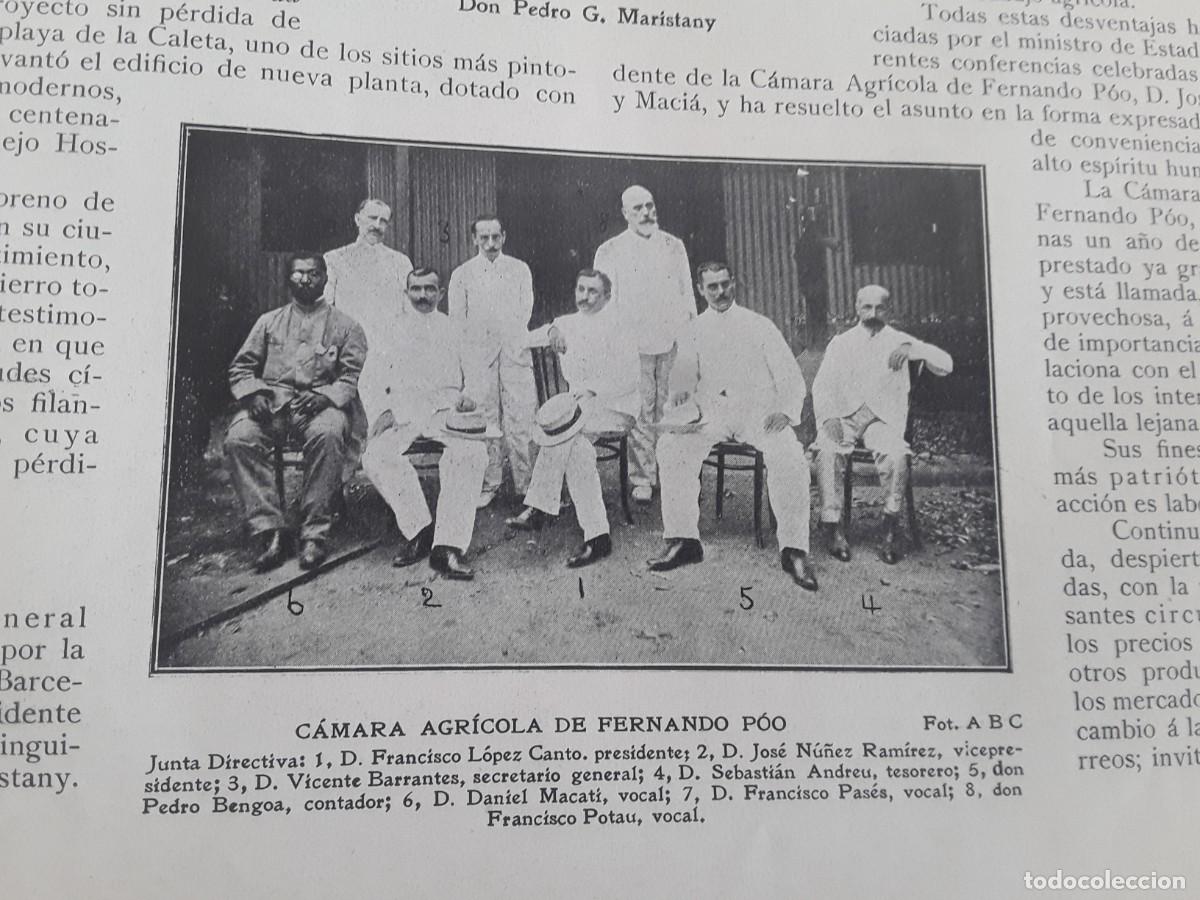 Collezionismo di Riviste e Giornali: JUNTA DIRECTIVA DE LA CAMARA AGRICOLA DE FERNANDO POO HOJA REVISTA A&Ntilde;O 1908