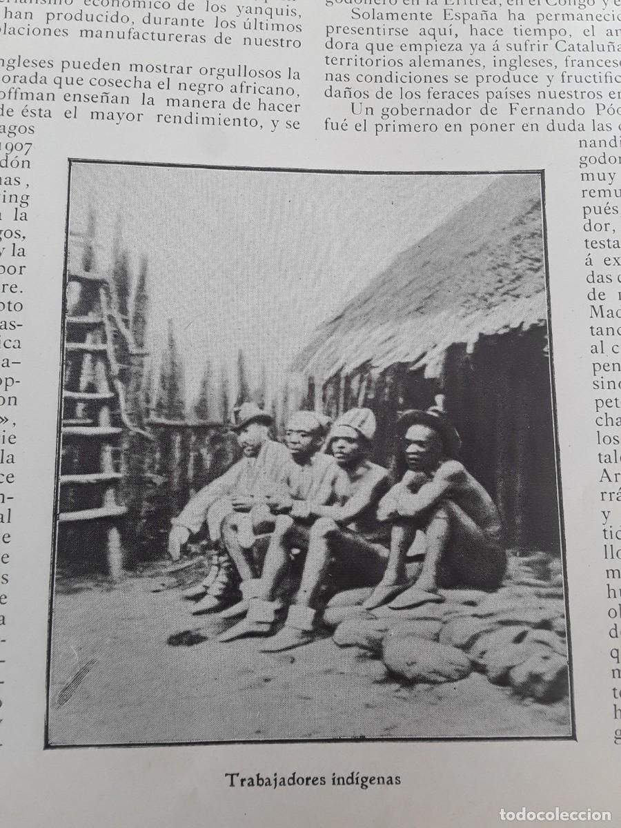 Collezionismo di Riviste e Giornali: EL CULTIVO DEL ALGODONERO EN FERNANDO POO ALGODON BUBIS BAHIA SAN CARLOS 4 HOJAS A&Ntilde;O 1908