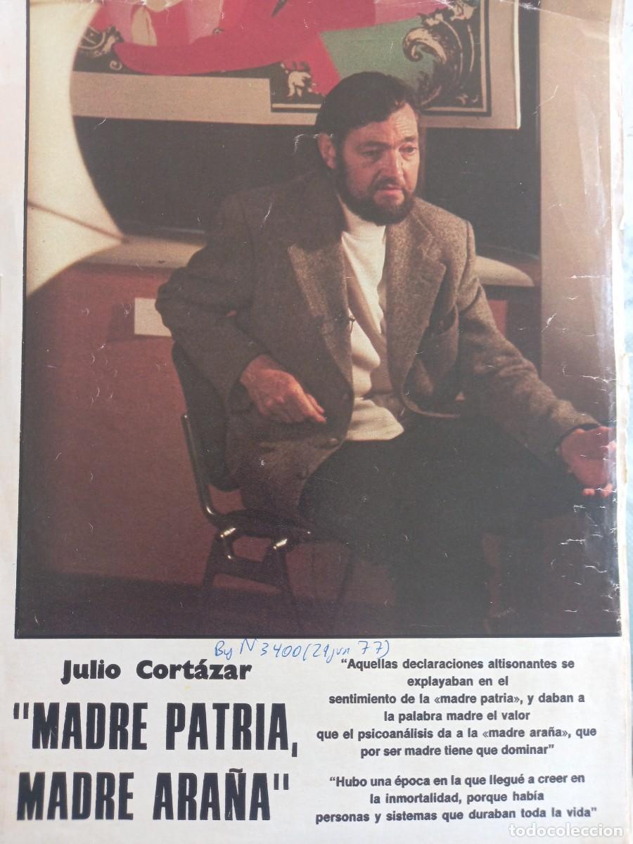 Coleccionismo de Revistas y Peri&oacute;dicos: ENTREVISTA A JULIO CORTAZAR. MADRE PATRIA, MADRE ARA&Ntilde;A. 3 PAGINAS REVISTA BLANCO Y NEGRO JUNIO 1977
