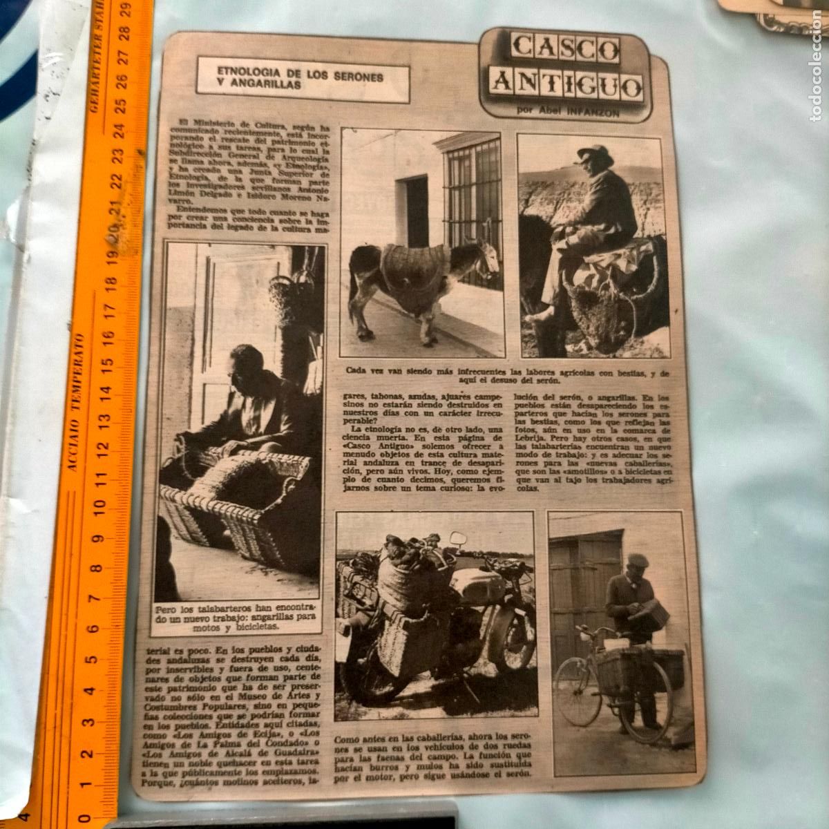 Sammeln von Zeitschriften und Zeitungen: NOTICIA SEVILLA CASCO ANTIGUO ANTONIO BURGOS - SERONES Y ANGARILLAS BURROS,