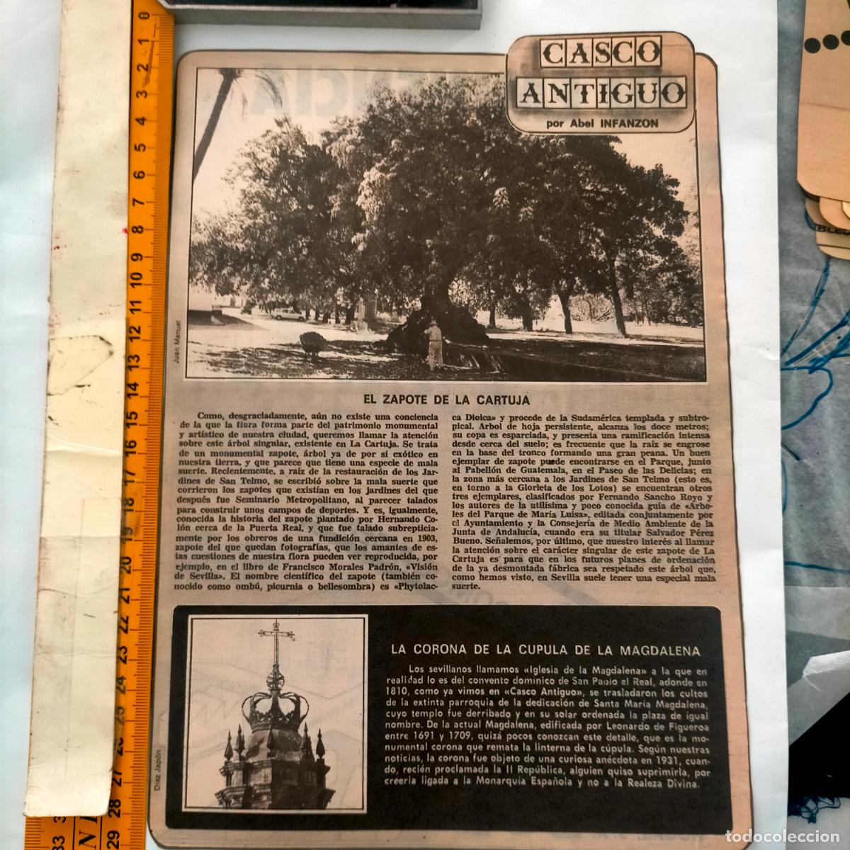 Collection Magazines and Newspapers: NOTICIA SEVILLA CASCO ANTIGUO ANTONIO BURGOS - EL ZAPOTE DE LA CARTUJA - CORONA CUPULA MAGDALENA