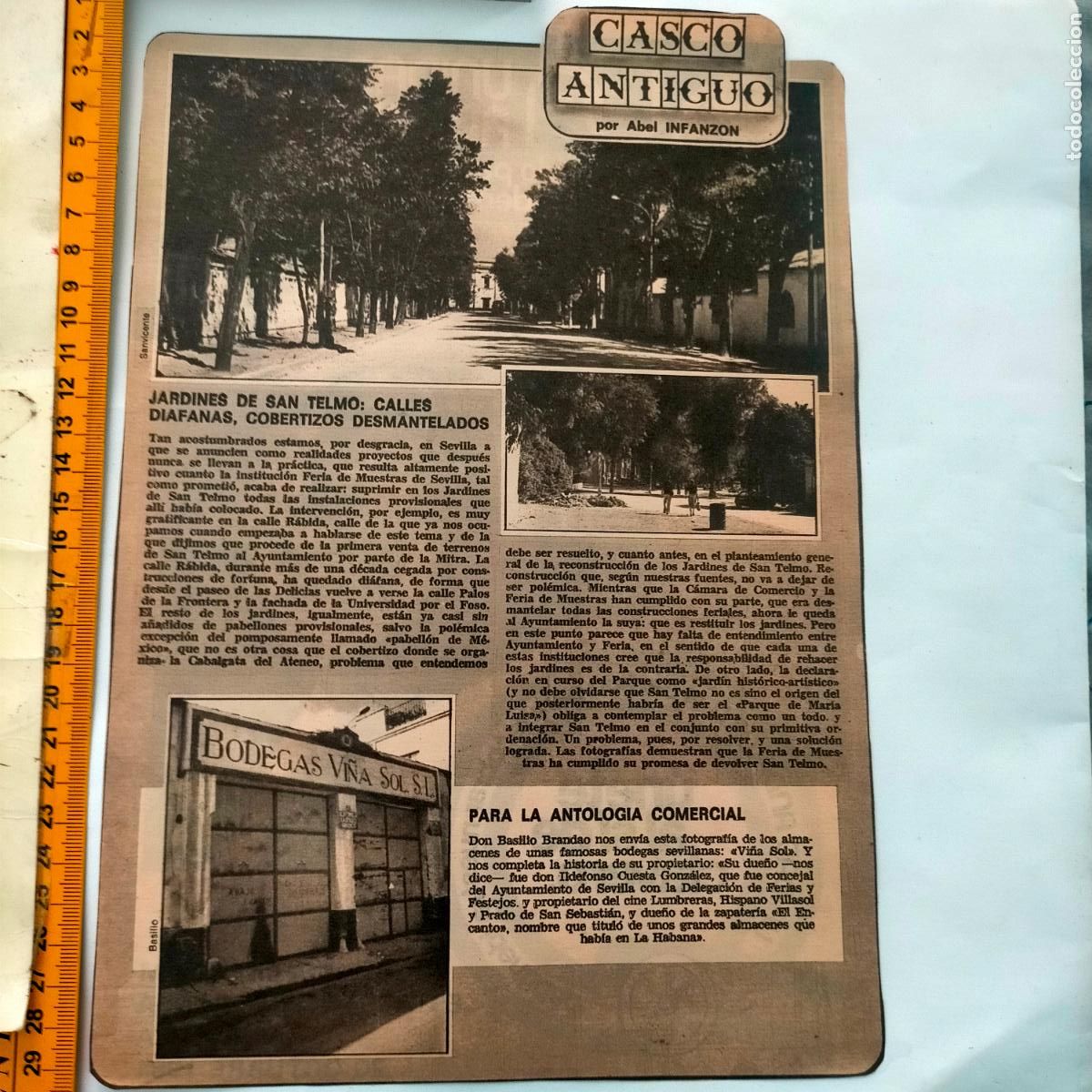 Collezionismo di Riviste e Giornali: NOTICIA SEVILLA CASCO ANTIGUO ANTONIO BURGOS - JARDINES DE SAN TELMO, BODEGAS VI&Ntilde;A SOL
