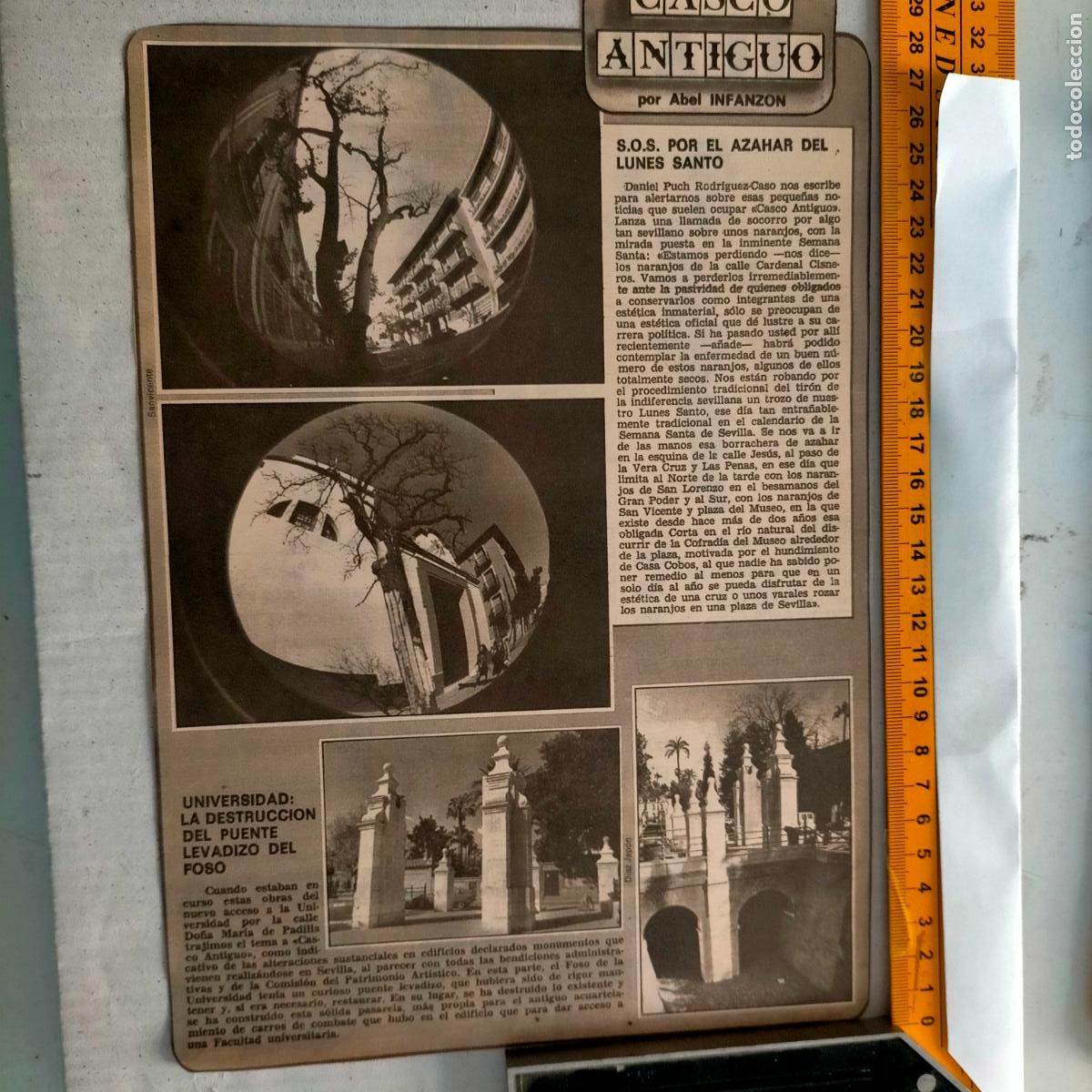 Colecionismo de Revistas e Jornais: SEVILLA CASCO ANTIGUO ANTONIO BURGOS - AZAHAR DEL LUNES SANTO PUENTE LEVADIZO DEL FOSO UNIVERSIDAD