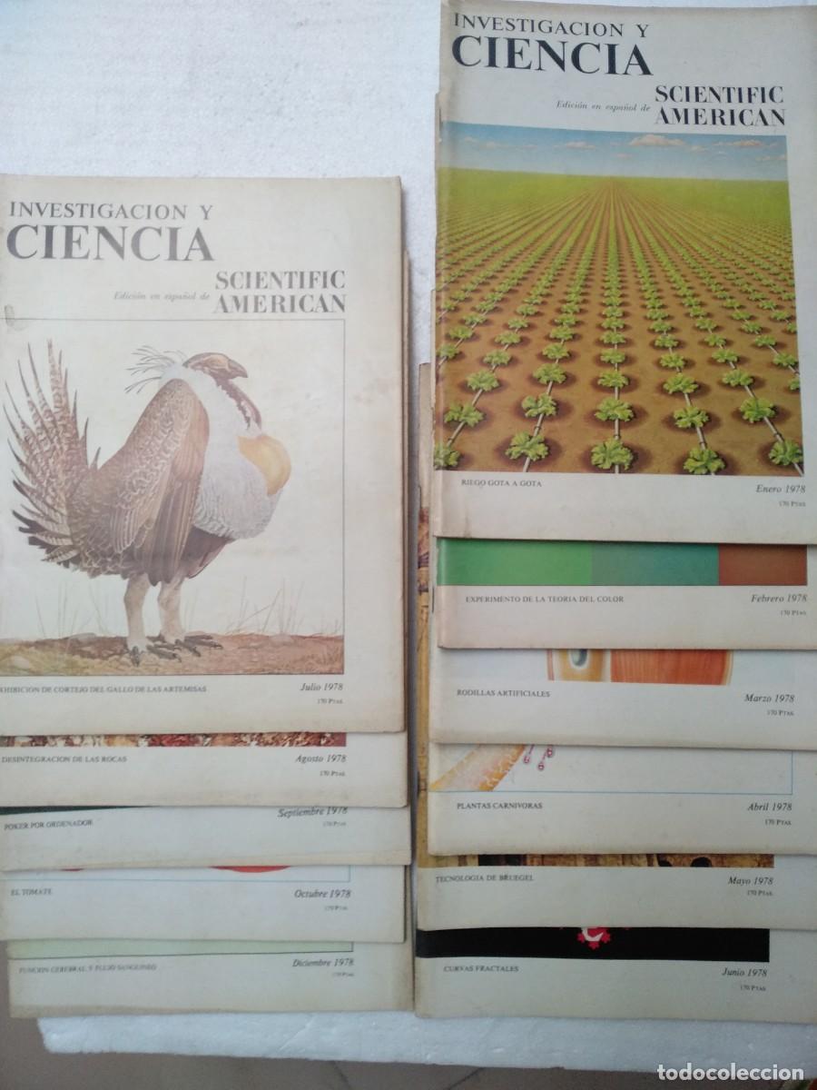 Collection Magazines and Newspapers: lote 11 revistas INVESTIGACION Y CIENCIA 1978 , ....