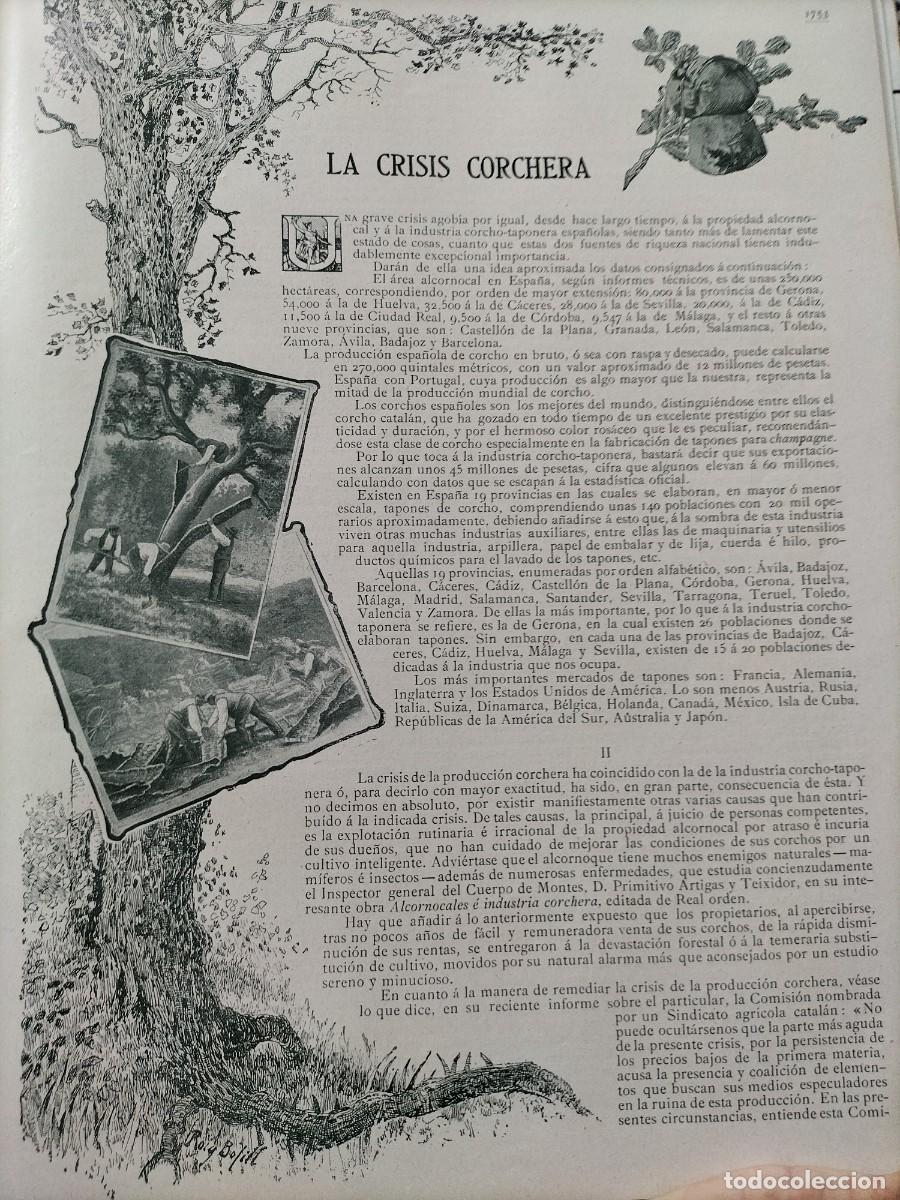 Collezionismo di Riviste e Giornali: LA CRISIS CORCHERA CORCHO AREA ALCORCONAL EN ESPA&Ntilde;A 2 HOJAS REVISTA A&Ntilde;O 1908