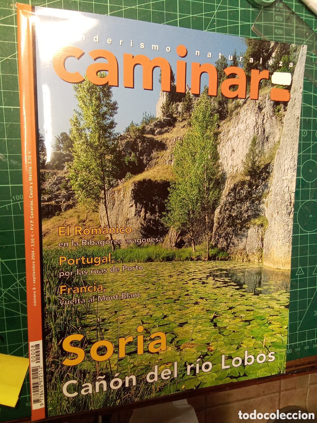 Collection Magazines and Newspapers: REVISTA EXCURSIONISME 351 JULIO-AGOSTO 2009