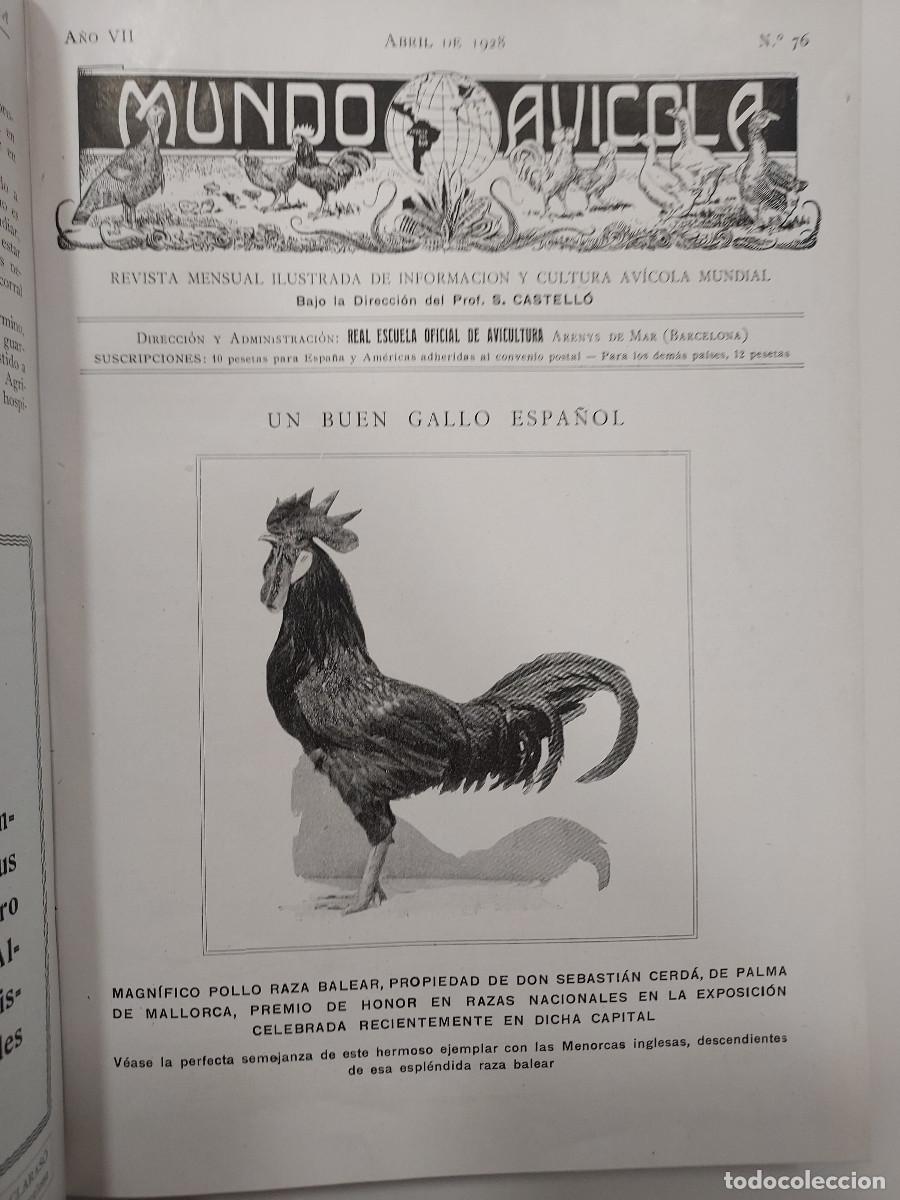 Coleccionismo de revistas y peri&oacute;dicos: REVISTA MENSUAL ILUSTRADA - MUNDO AVICOLA - A&Ntilde;O VII Y VIII - 1928-1929 - COMPLETO