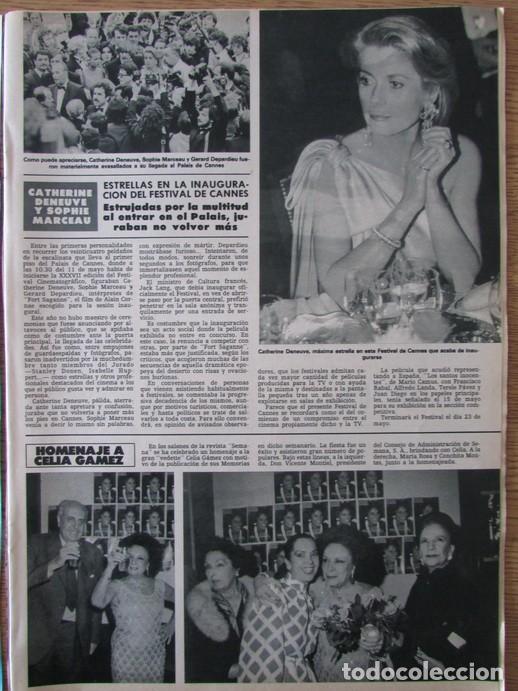 Coleccionismo de Revistas y Peri&oacute;dicos: RECORTE REVISTA HOLA 2074 1984 CATHERINE DENEUVE. CELIA GAMEZ. XAVIER DE LOBKOWICZ