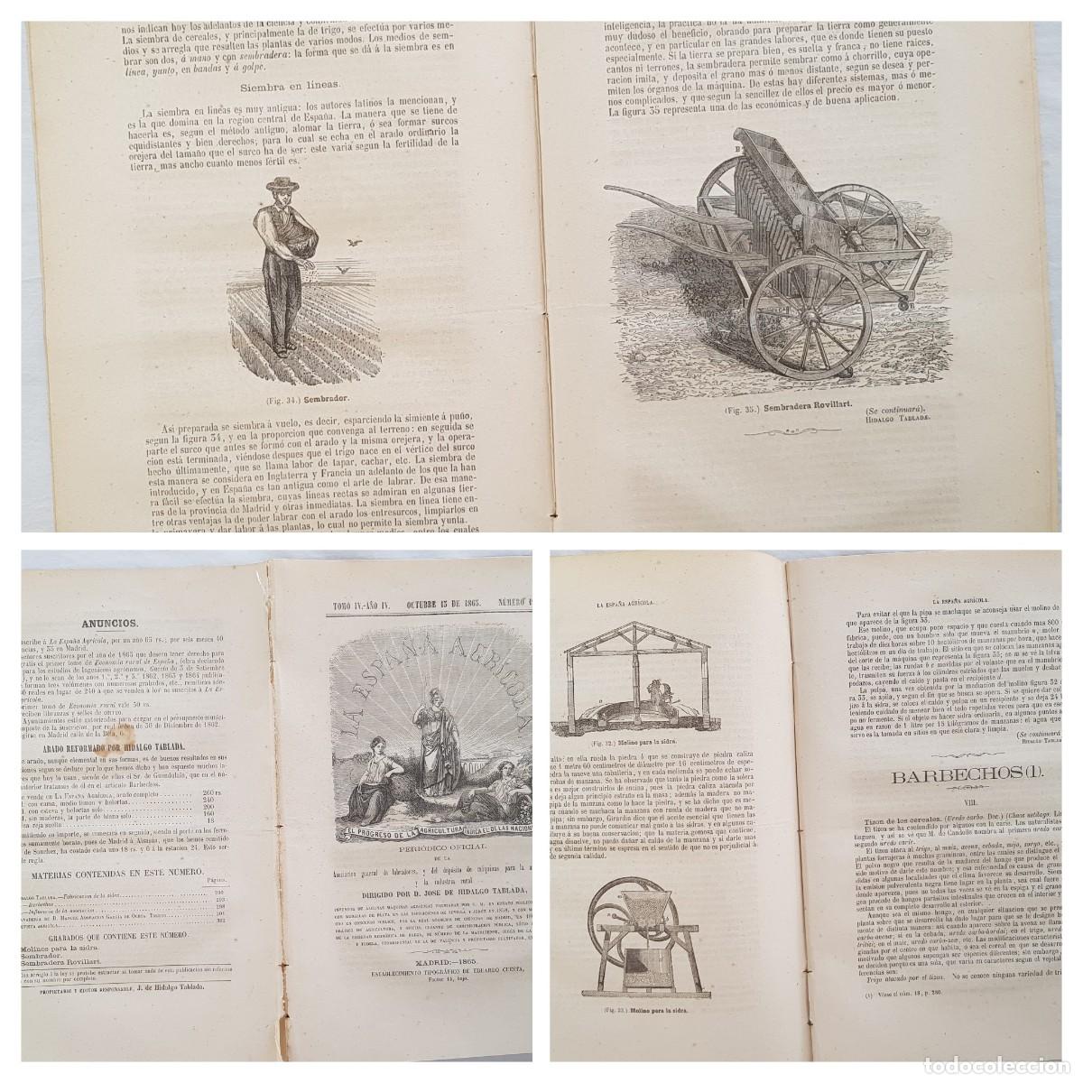 Colecionismo de Revistas e Jornais: LA ESPA&Ntilde;A AGR&Iacute;COLA. Peri&oacute;dico Oficial. Octubre 15 de 1865, N&uacute;m 19