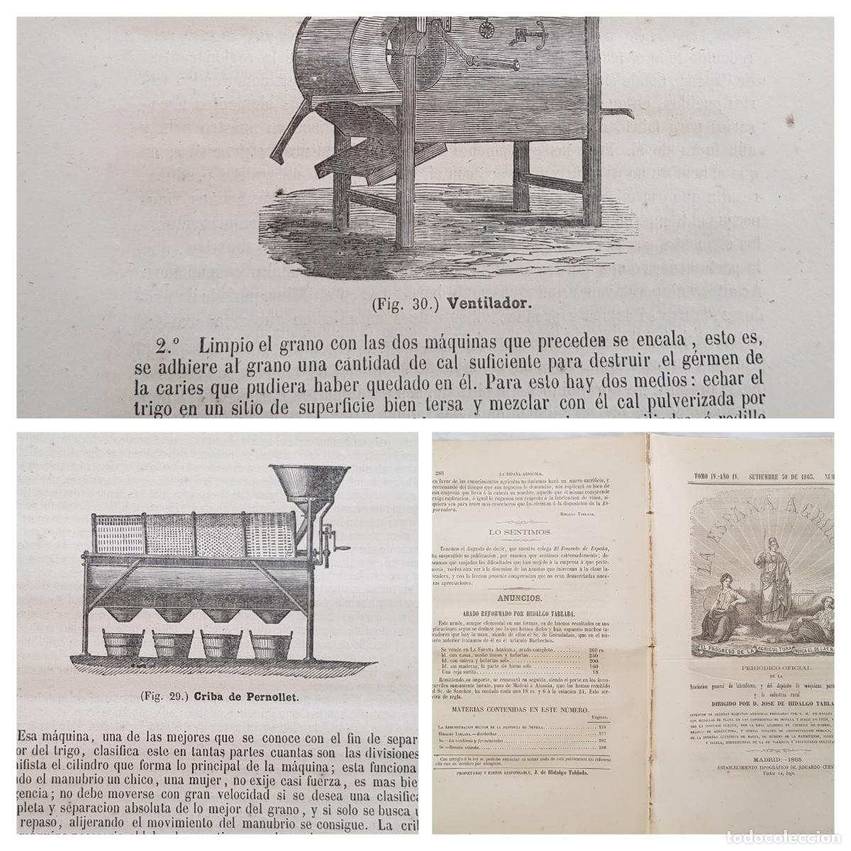 Colecionismo de Revistas e Jornais: LA ESPA&Ntilde;A AGR&Iacute;COLA. Peri&oacute;dico Oficial. Setiembre 30 de 1865, N&uacute;m 18