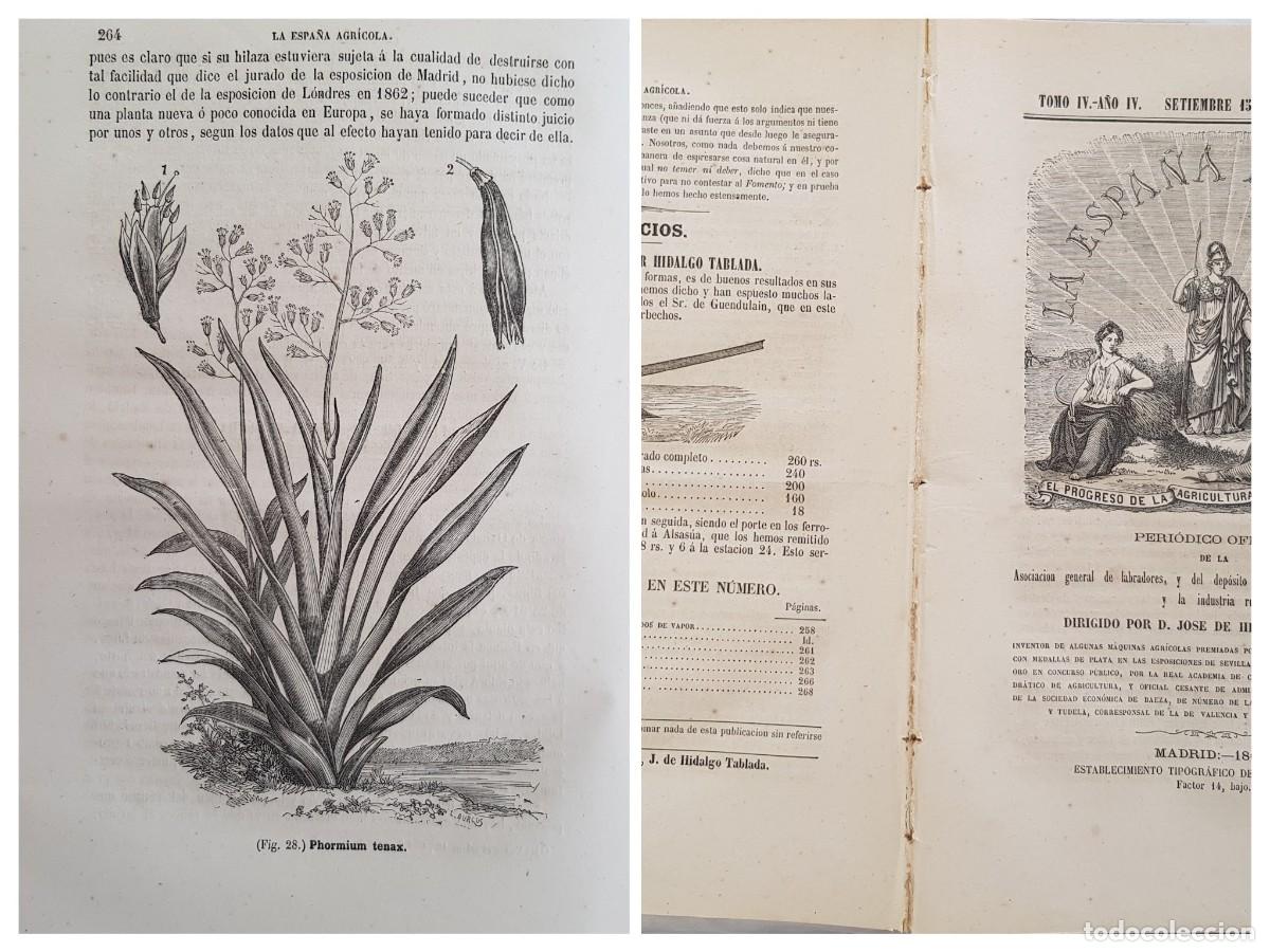 Colecionismo de Revistas e Jornais: LA ESPA&Ntilde;A AGR&Iacute;COLA. Peri&oacute;dico Oficial. Setiembre 15 de 1865, N&uacute;m 17