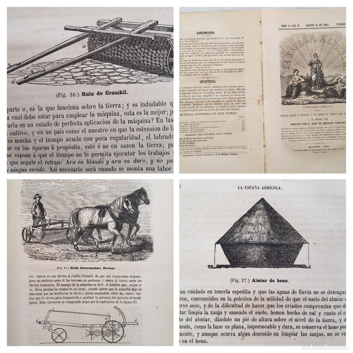 Colecionismo de Revistas e Jornais: LA ESPA&Ntilde;A AGR&Iacute;COLA. Peri&oacute;dico Oficial. Agosto 15 de 1865, N&uacute;m 15