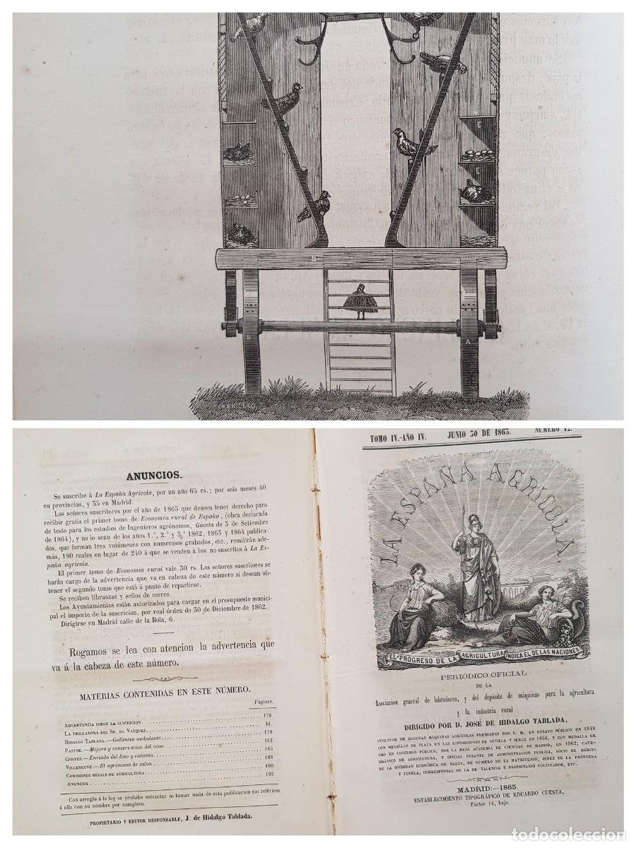 Colecionismo de Revistas e Jornais: LA ESPA&Ntilde;A AGR&Iacute;COLA. Peri&oacute;dico Oficial. Junio 30 de 1865, N&uacute;m 12