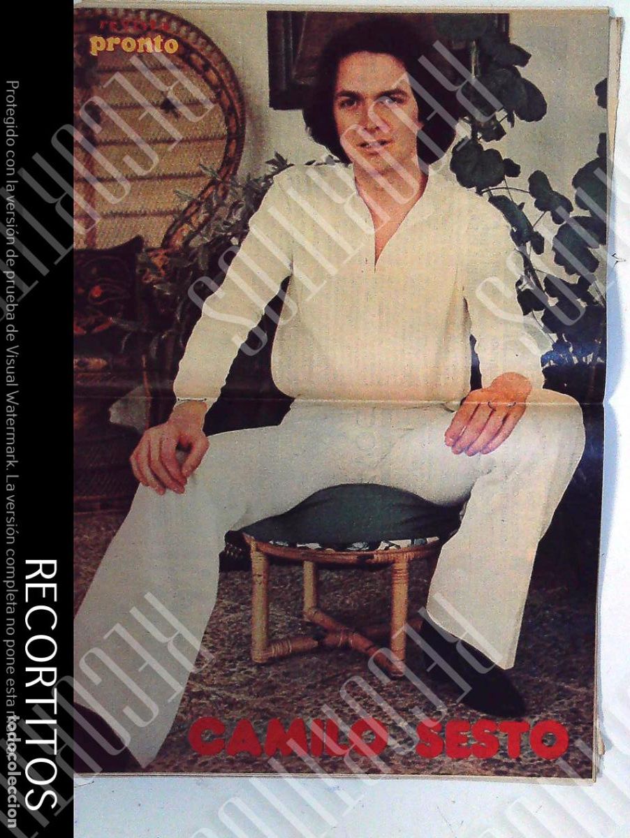 Coleccionismo de Revistas y Peri&oacute;dicos: POSTER CAMILO SESTO 1977