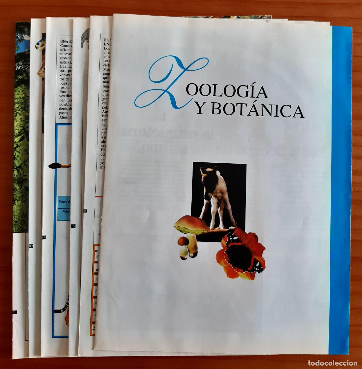 Collection Magazines and Newspapers: ZOOLOG&Iacute;A Y BOT&Aacute;NICA - 6 EJEMPLARES - ?, 83, 85, 87, 89 Y 99 - 30 X 21,50 CMS. - PERFECTO ESTADO