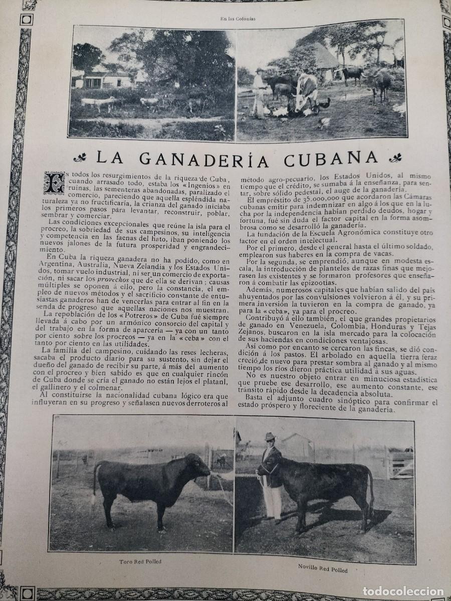 Collezionismo di Riviste e Giornali: LA GANADERIA CUBANA EXISTENCIAS DE GANADO EN 1908 Y 1909 2 HOJAS A&Ntilde;O 1911