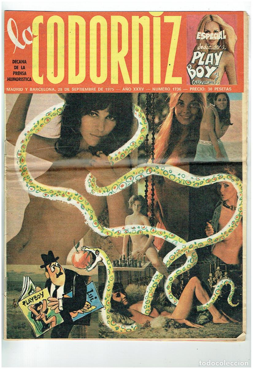 Coleccionismo de Revistas y Peri&oacute;dicos: LA CODORNIZ. N&ordm; 1736. 28 SEPTIEMBRE 1975. (B/41.2)
