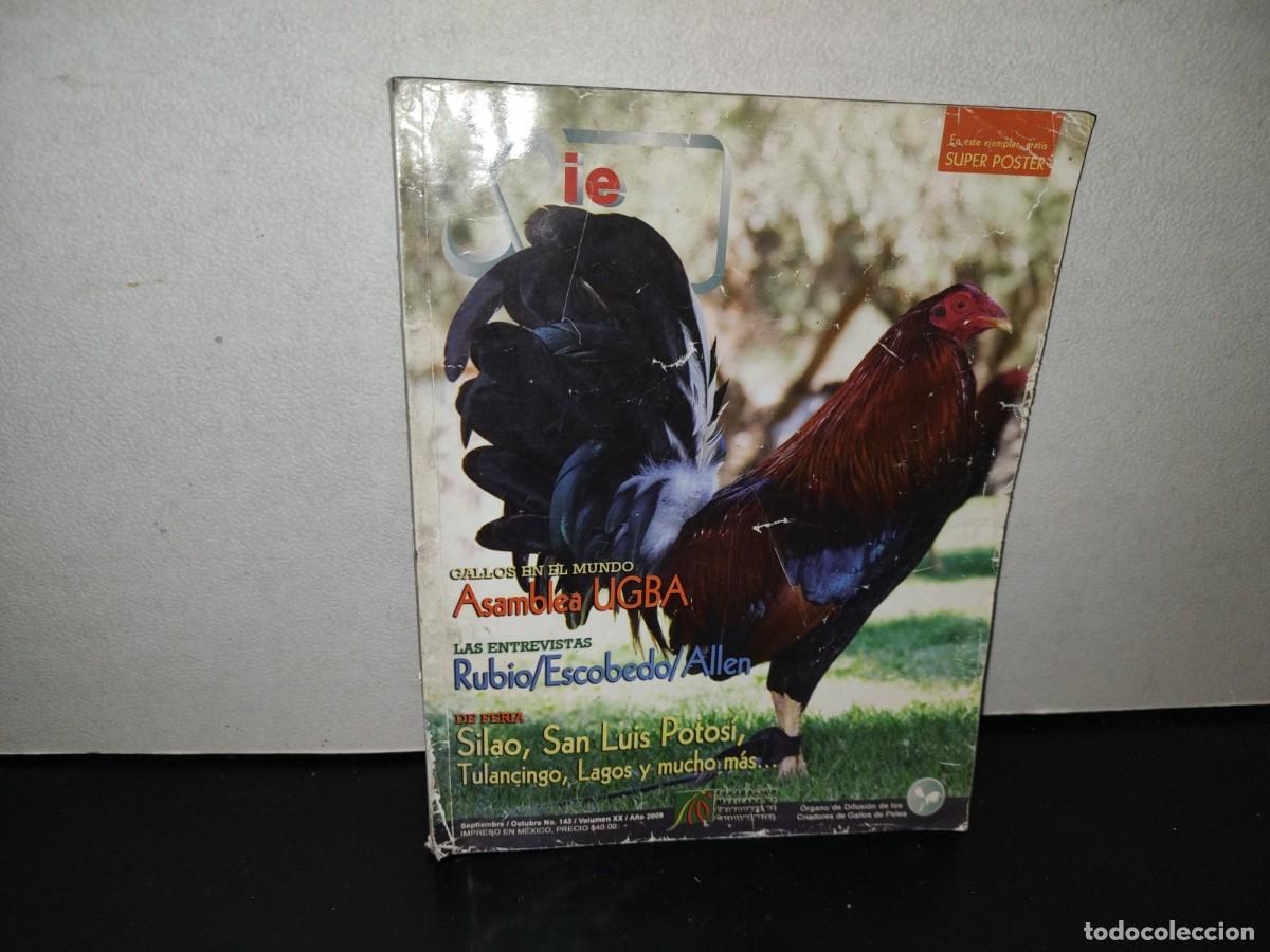Collezionismo di Riviste e Giornali: 107- REVISTA DE GALLOS: PIE DE CR&Iacute;A. SEPTIEMBRE/OCTUBRE, NO. 143, VOLUMEN XX, A&Ntilde;O 2009