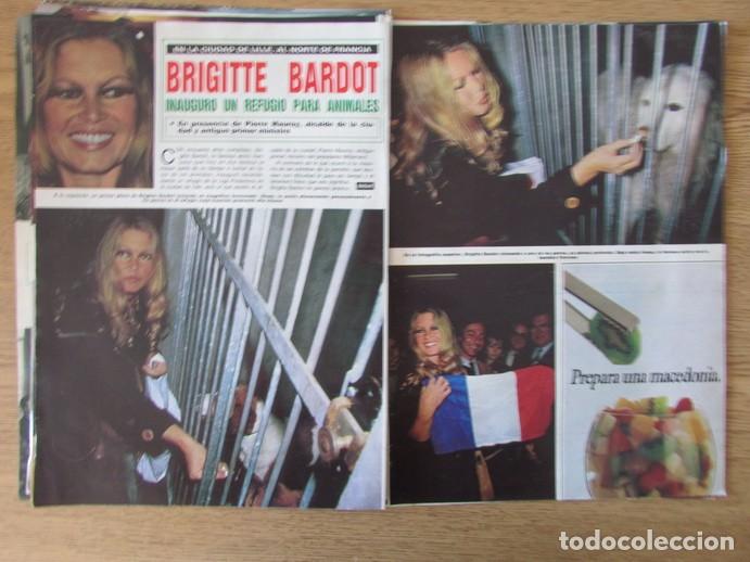 Coleccionismo de Revistas y Peri&oacute;dicos: RECORTE REVISTA DEL MUNDO 30 1985 BRIGITTE BARDOT 3 P&Aacute;GS