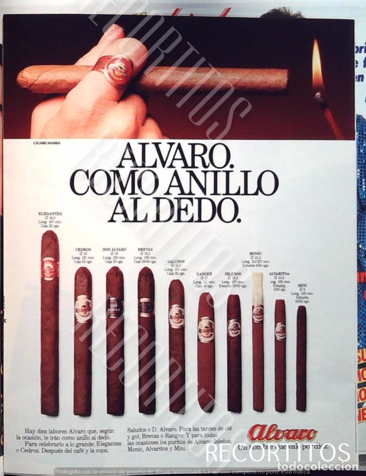 Coleccionismo de Revistas y Peri&oacute;dicos: PUROS HABANOS ALVARO ANUNCIO PUBLICIDAD