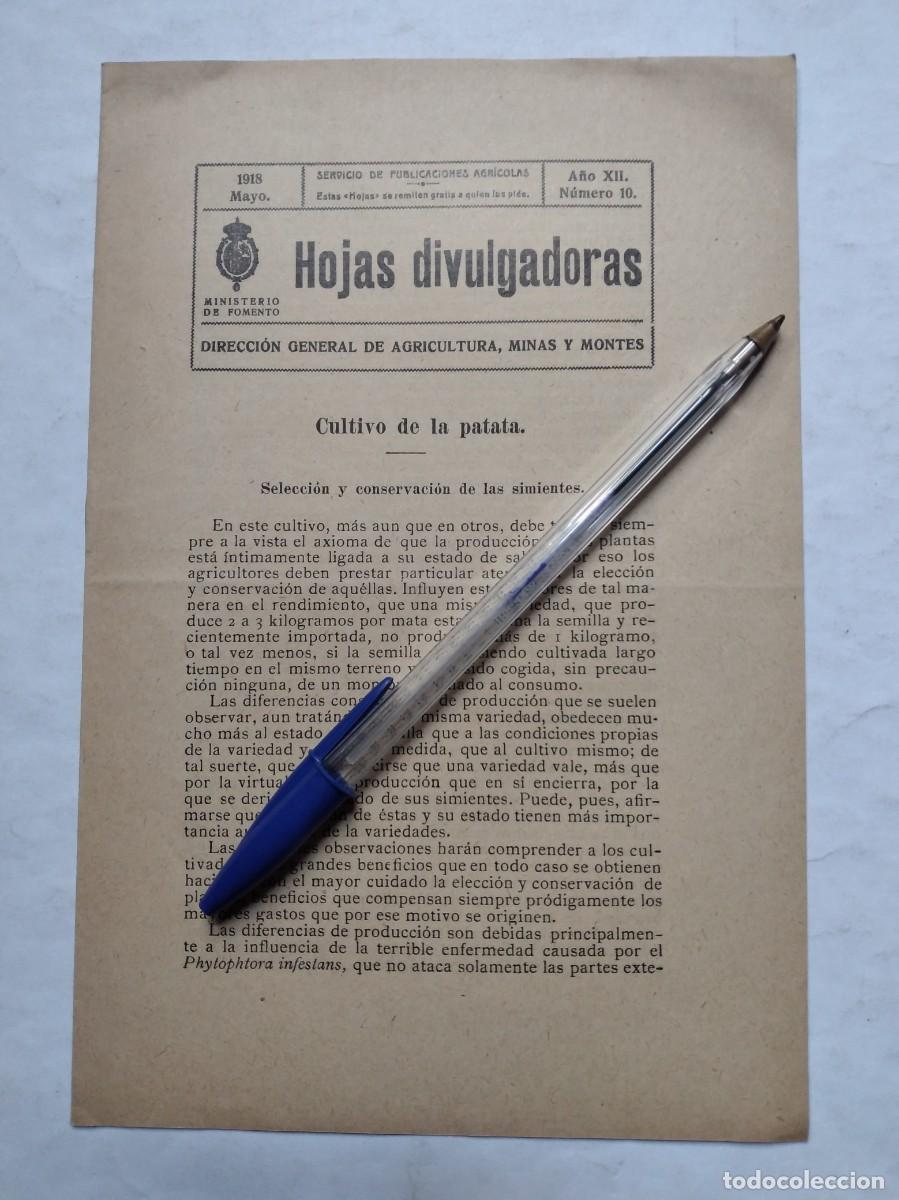 Colecionismo de Revistas e Jornais: HOJAS DIVULGADORAS N&ordm; 10 1918 CULTIVO DE LA PATATA SELECCI&Oacute;N CONSERVACI&Oacute;N SIMIENTE