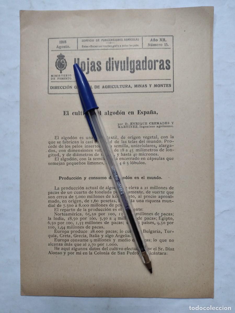 Coleccionismo de revistas y peri&oacute;dicos: HOJAS DIVULGADORAS N&ordm; 15 1918 EL CULTIVO DEL ALGOD&Oacute;N EN ESPA&Ntilde;A ENRIQUE CREMADES MART&Iacute;NEZ