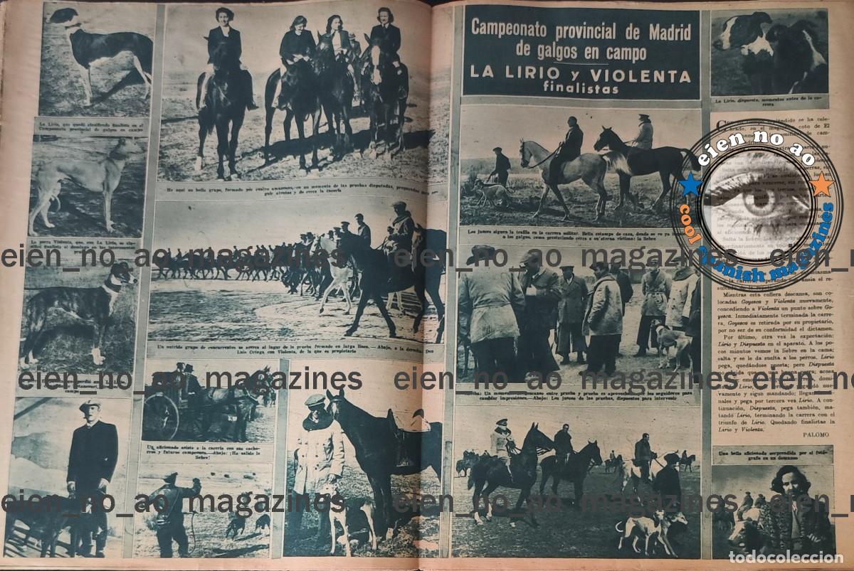 Collezionismo di Riviste e Giornali: Campeonato provincial de Madrid de GALGOS en campo ~ 1944