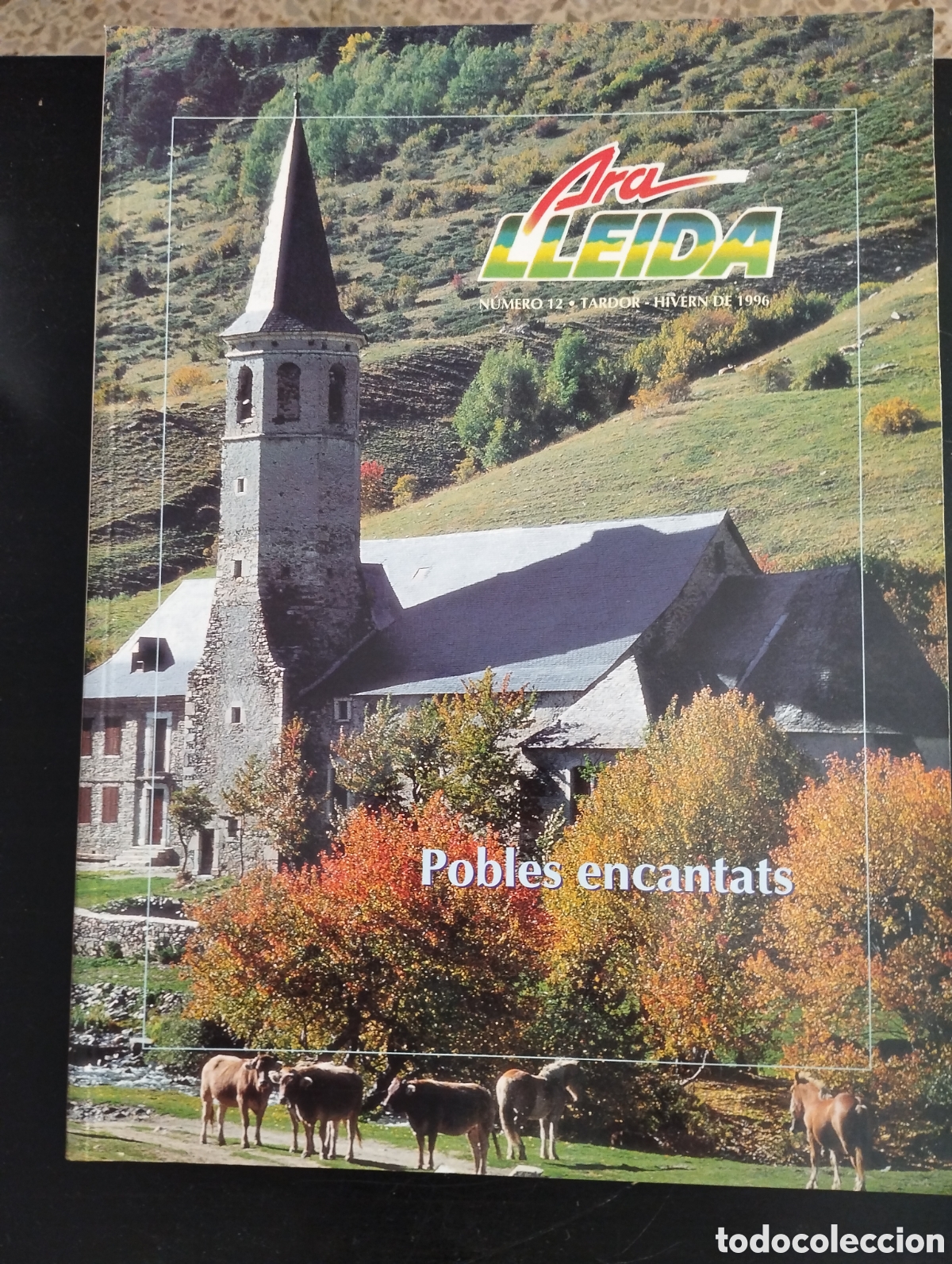 Coleccionismo de Revistas y Peri&oacute;dicos: Pobles encantats. N&ordm; 12. Tardor - Hivern de 1996. Ara Lleida.