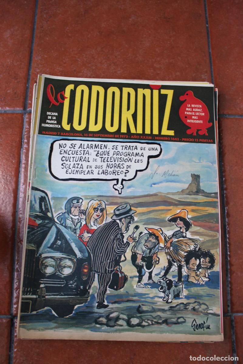 Coleccionismo de Revistas y Peri&oacute;dicos: REVISTA LA CODORNIZ N&ordm; 1643 A&Ntilde;O 1973