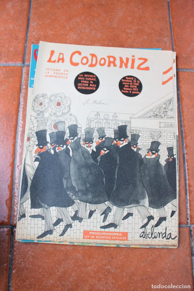 Coleccionismo de Revistas y Peri&oacute;dicos: REVISTA LA CODORNIZ : PROCURADORES, LEY DE SECRETOS OFICIALES