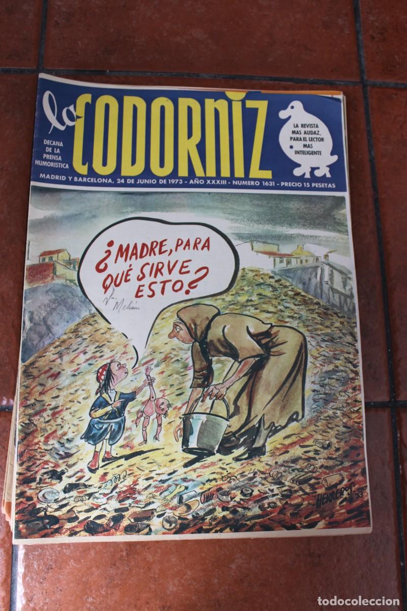 Coleccionismo de Revistas y Peri&oacute;dicos: REVISTA LA CODORNIZ N&ordm; 1631 A&Ntilde;O 1973 :