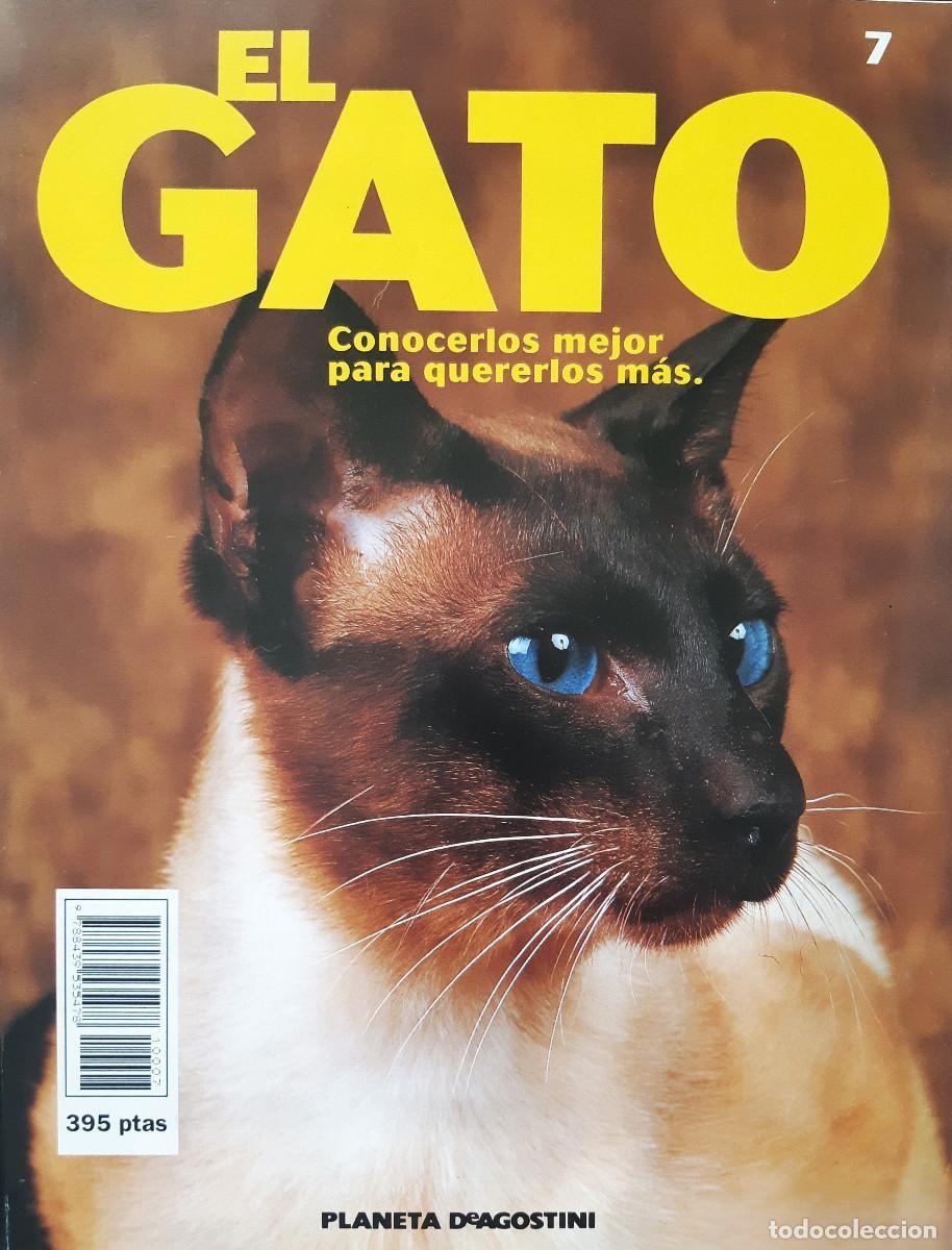 Collectionnisme de Revues et Journaux: LOTE 11 PORTADAS COLECCIONABLE 'EL GATO', ED. PLANETA AGOSTINI, 1994, IMPECABLE ESTADO, AGOTADO