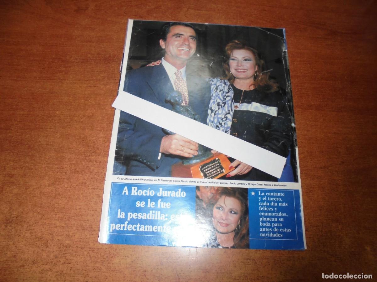Coleccionismo de Revistas y Peri&oacute;dicos: CLIPPING 1994: ROC&Iacute;O JURADO Y ORTEGA CANO