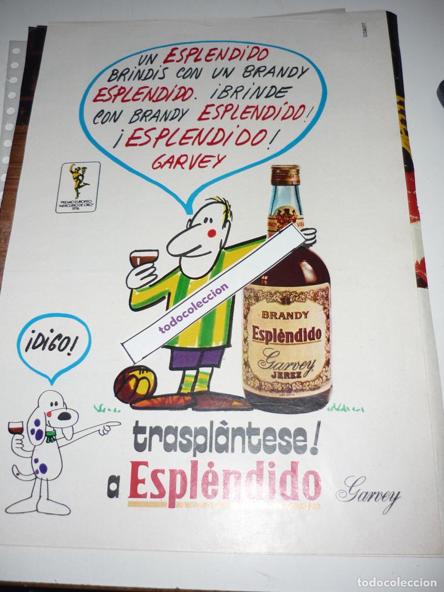 Coleccionismo de Revistas y Peri&oacute;dicos: ANUNCIO *ESPLENDIDO GARVEY* - 1 HOJA, RECORTE REVISTA, A&Ntilde;OS 70