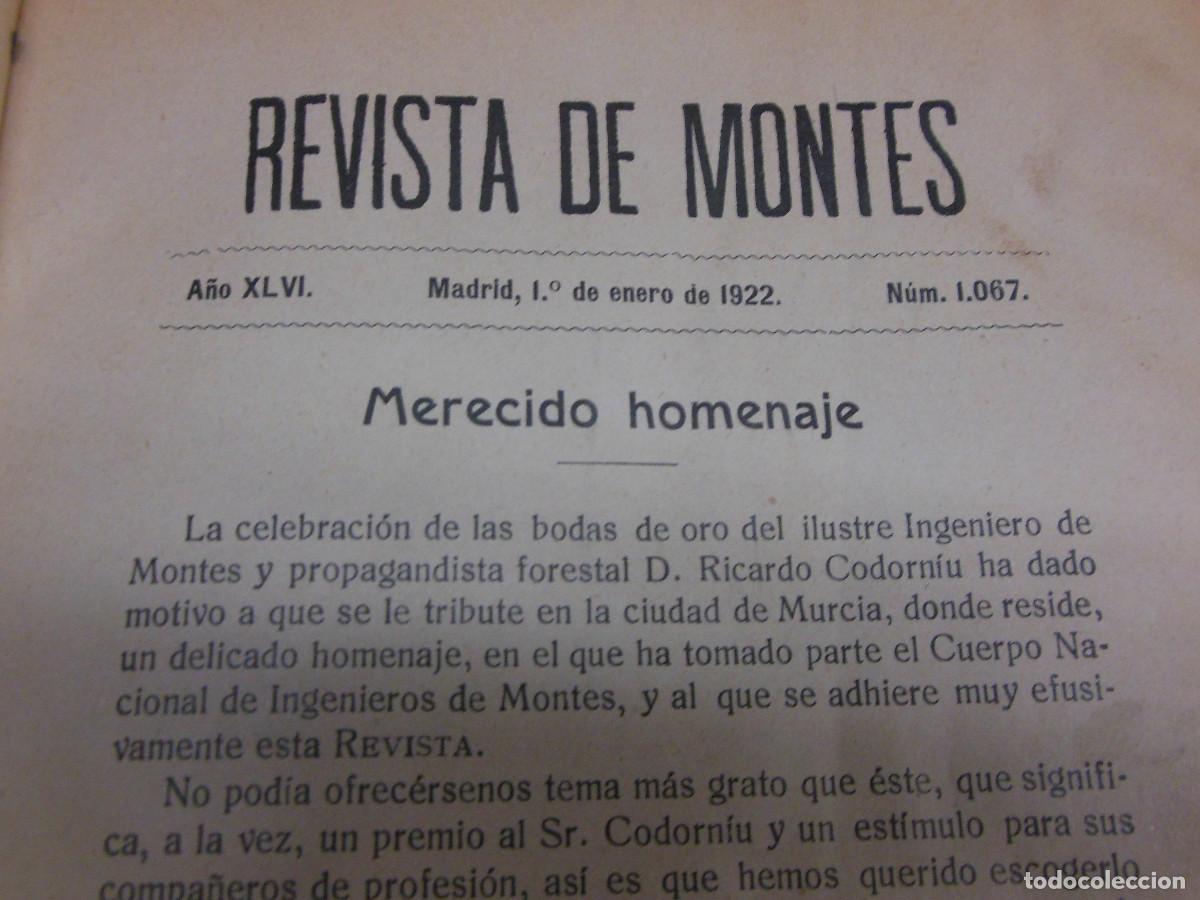 Coleccionismo de revistas y peri&oacute;dicos: 1922 REVISTA DE MONTES AGRICULTURA TOMO ENCUADERNADO N&ordm; 1067 AL 1078