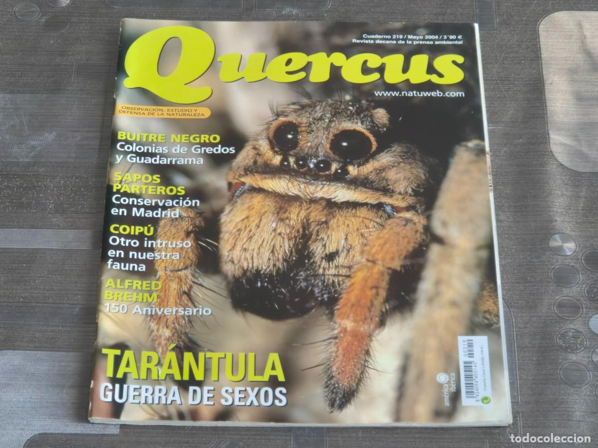 Sammeln von Zeitschriften und Zeitungen: QUERCUS, REVISTA DE NATURALEZA, CUADERNO 219, MAYO DE 2004, BIEN