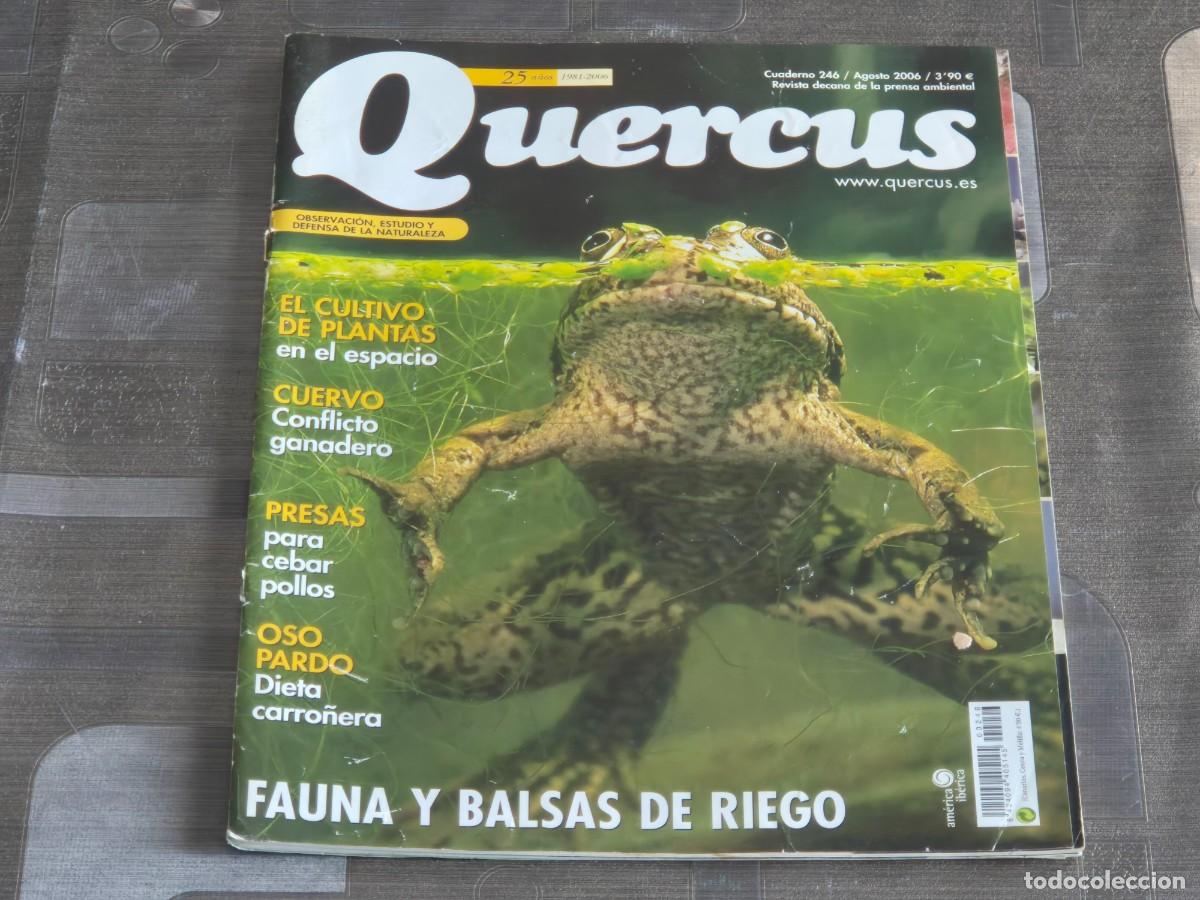 Sammeln von Zeitschriften und Zeitungen: QUERCUS, REVISTA DE NATURALEZA, CUADERNO 246, AGOSTO DE 2006, LEER
