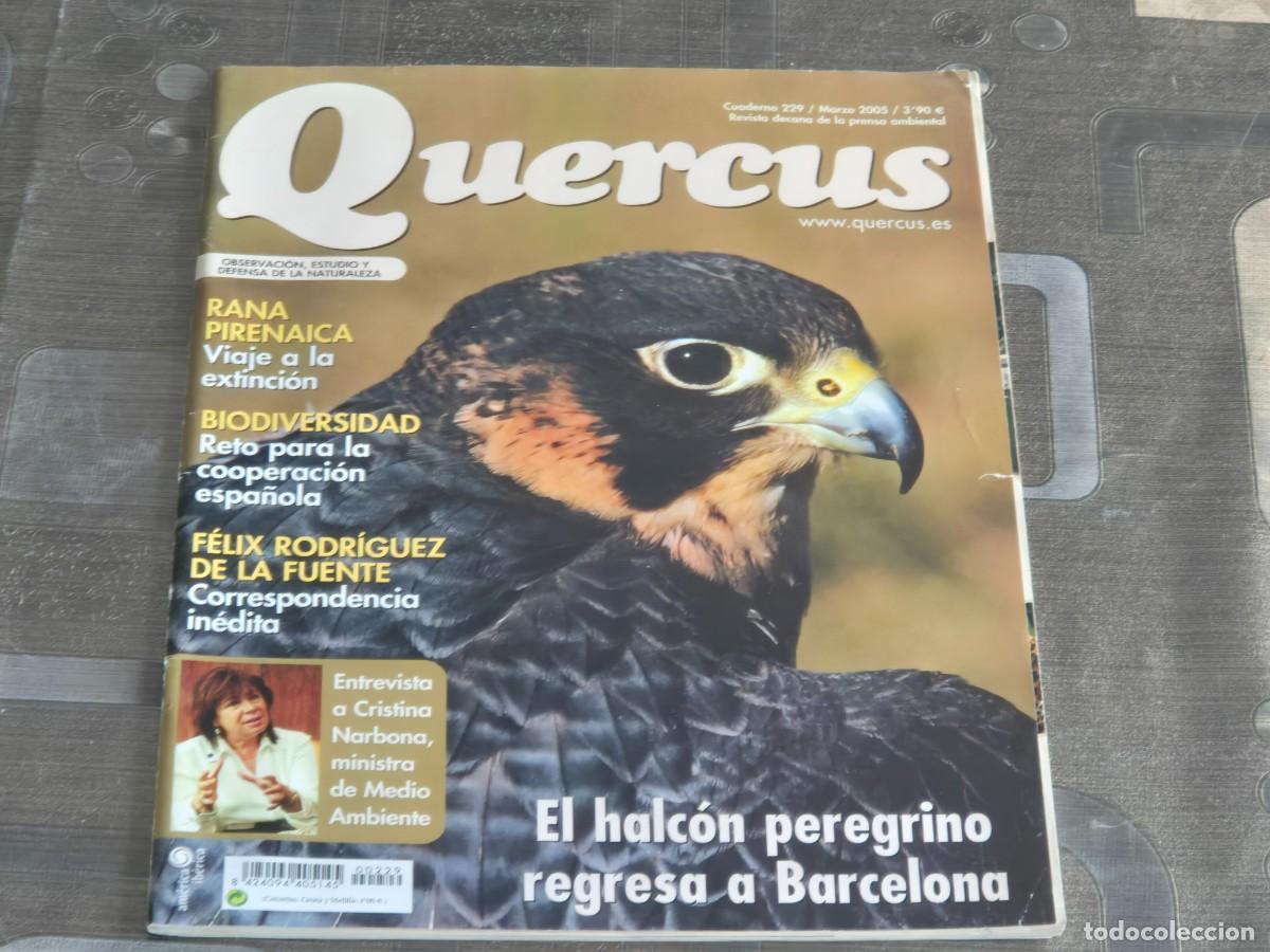 Sammeln von Zeitschriften und Zeitungen: QUERCUS, REVISTA DE NATURALEZA, CUADERNO 229, MARZO DE 2005, BIEN