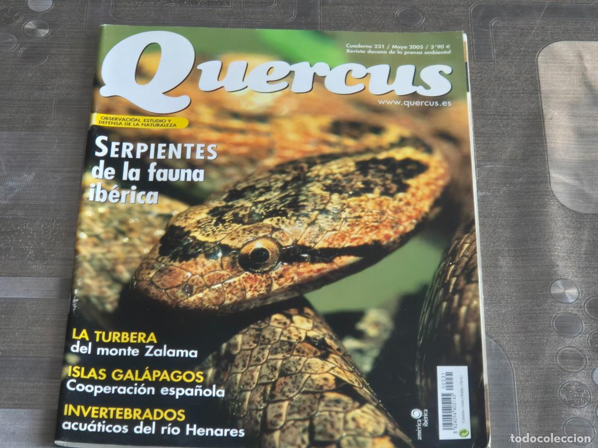 Sammeln von Zeitschriften und Zeitungen: QUERCUS, REVISTA DE NATURALEZA, CUADERNO 231, MAYO DE 2005, BIEN