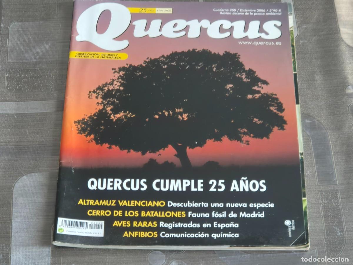 Sammeln von Zeitschriften und Zeitungen: QUERCUS, REVISTA DE NATURALEZA, CUADERNO 250, DICIEMBRE DE 2006, BIEN