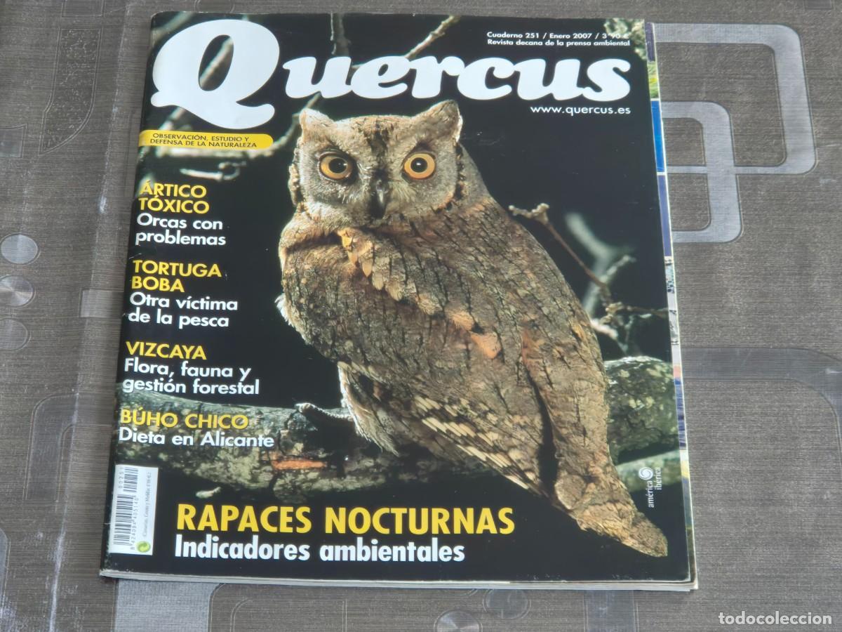 Sammeln von Zeitschriften und Zeitungen: QUERCUS, REVISTA DE NATURALEZA, CUADERNO 251, ENERO DE 2007, BIEN