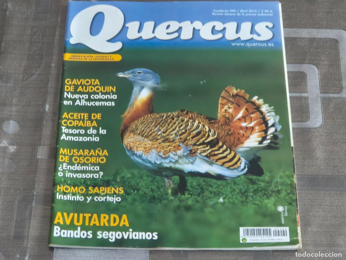 Sammeln von Zeitschriften und Zeitungen: QUERCUS, REVISTA DE NATURALEZA, CUADERNO 290, ABRIL DE 2010, BIEN