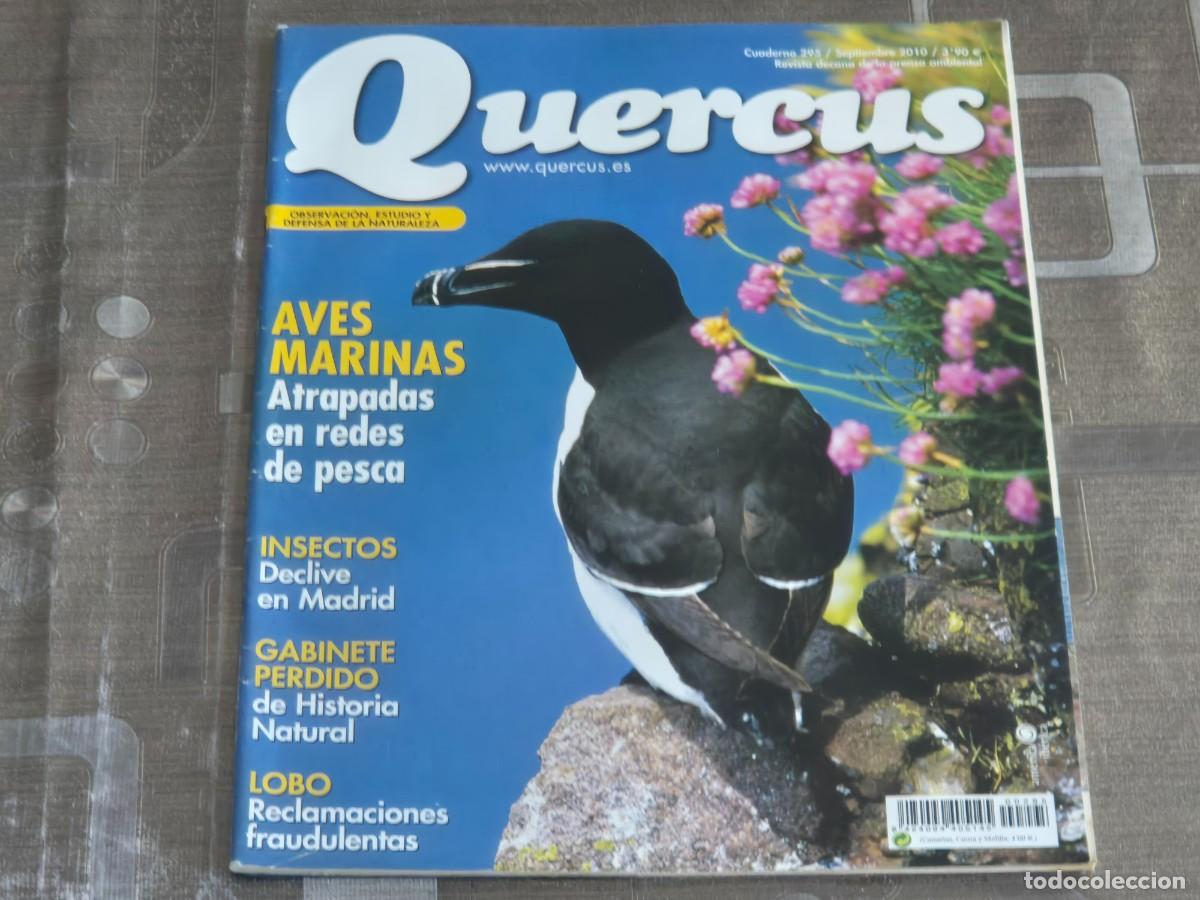 Sammeln von Zeitschriften und Zeitungen: QUERCUS, REVISTA DE NATURALEZA, CUADERNO 295, SEPTIEMBRE DE 2010, BIEN