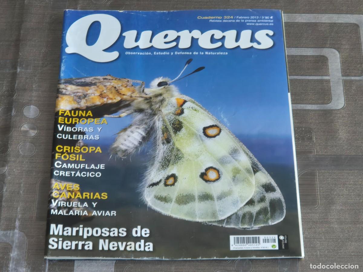 Sammeln von Zeitschriften und Zeitungen: QUERCUS, REVISTA DE NATURALEZA, CUADERNO 324, FEBRERO DE 2013, BIEN