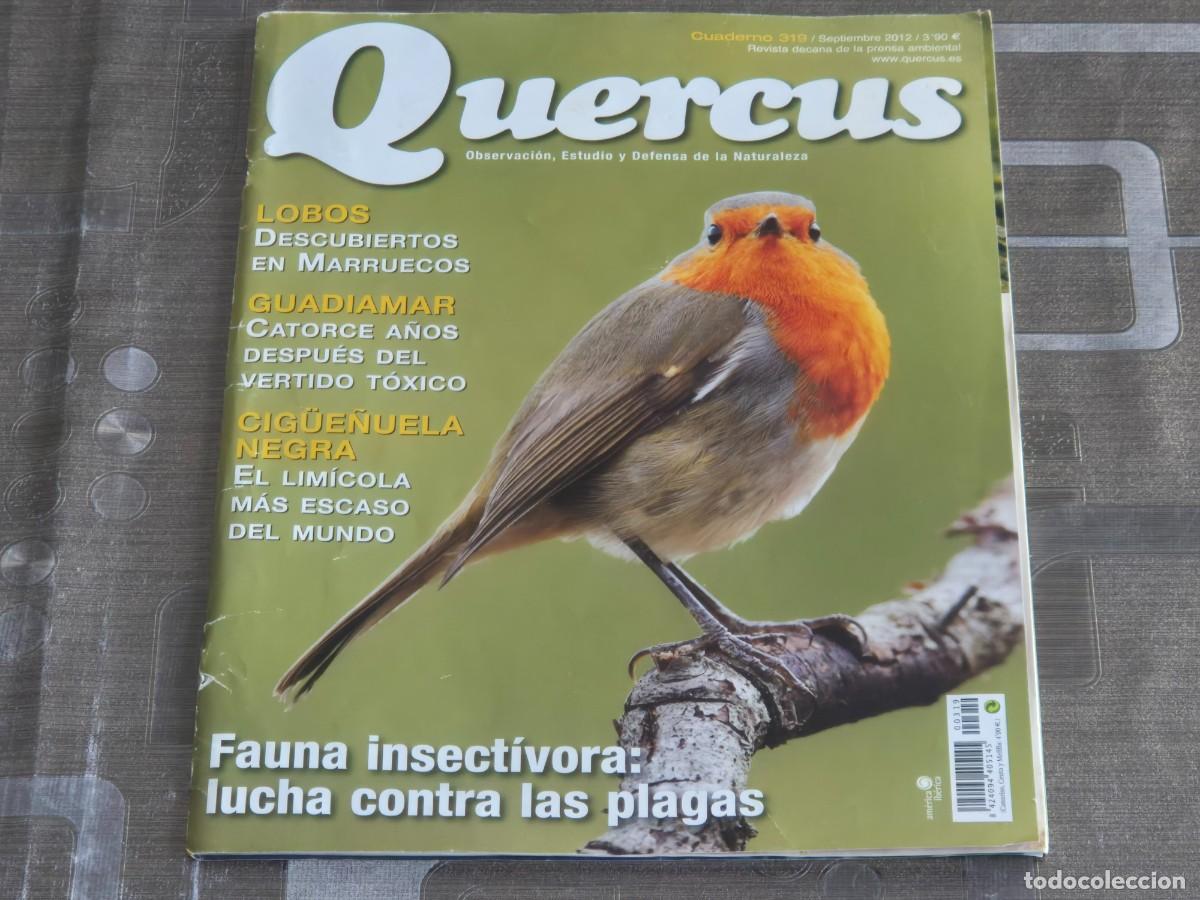 Sammeln von Zeitschriften und Zeitungen: QUERCUS, REVISTA DE NATURALEZA, CUADERNO 319, SEPTIEMBRE DE 2012, LEER