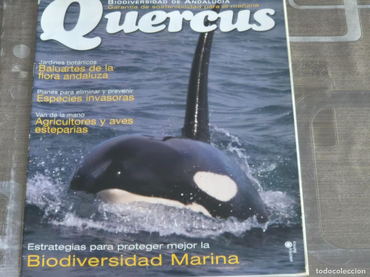 Sammeln von Zeitschriften und Zeitungen: QUERCUS, REVISTA NATURALEZA, BIODIVERSIDAD DE ANDALUC&Iacute;A, SUPLEMENTO DEL N&ordm; 296, OCTUBRE -2010, BIEN
