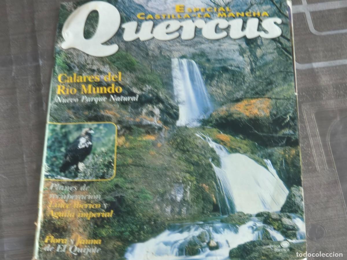 Sammeln von Zeitschriften und Zeitungen: QUERCUS, REVISTA NATURALEZA, ESPECIAL CASTILLA LA MANCHA, LEER