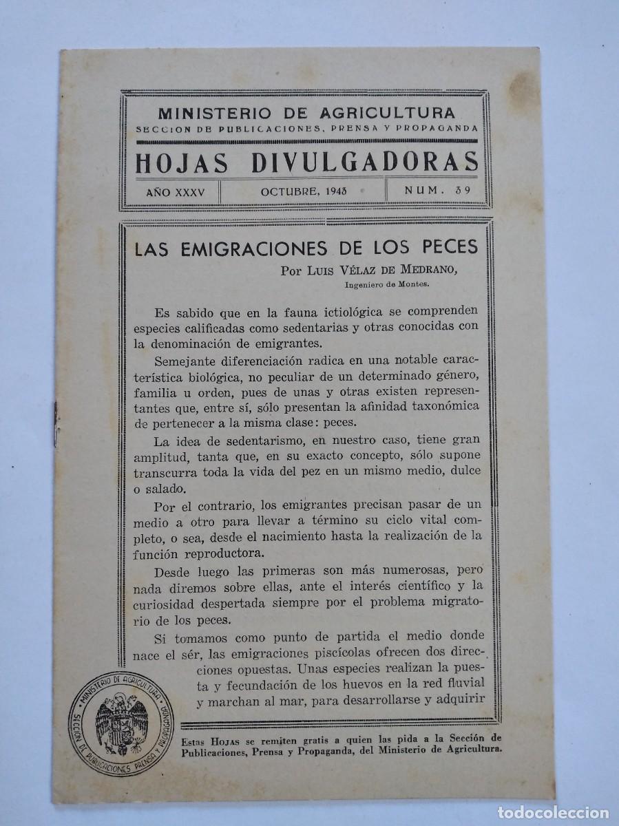 Coleccionismo de revistas y peri&oacute;dicos: HOJAS DIVULGADORAS N&ordm; 39 1943 LAS EMIGRACIONES DE LOS PECES LUIS VELAZ DE MEDRANO