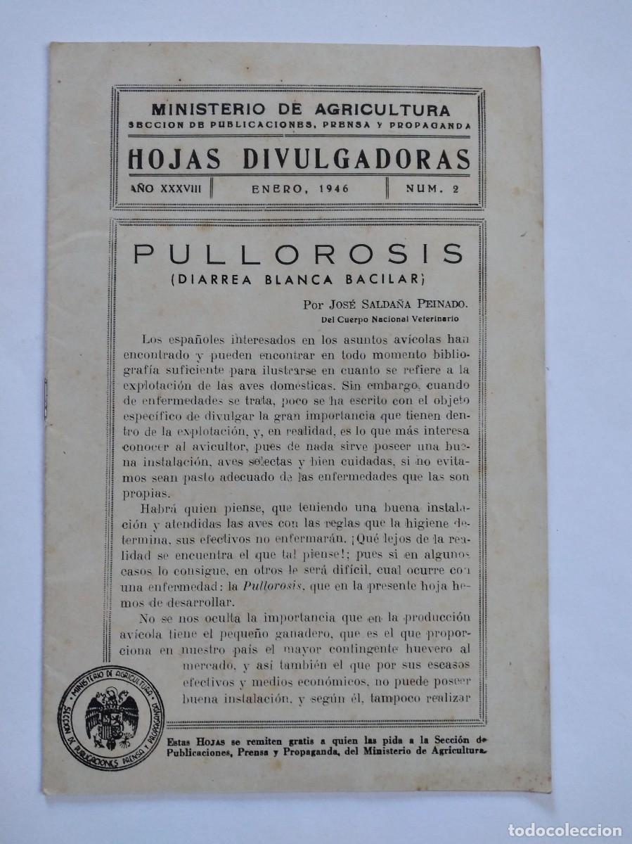 Collection Magazines and Newspapers: HOJAS DIVULGADORAS N&ordm; 2 1946 JOS&Eacute; SALDA&Ntilde;A PEINADO PULLOROSIS DIARREA BLANCA BACILAR